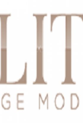 Elite Image Models