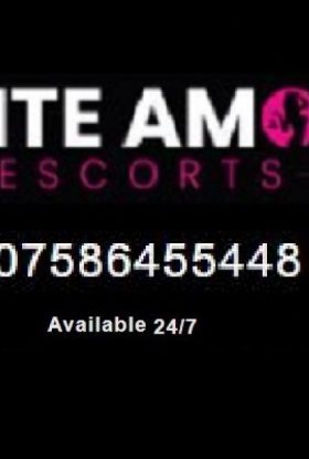 Elite Amor Escorts